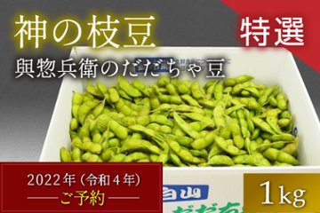 【早期増量】【特選】だだちゃ豆1.2㎏画像