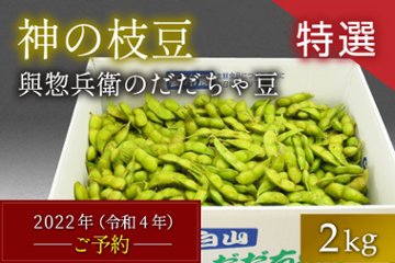 【早期増量】【特選】だだちゃ豆2.4㎏の画像