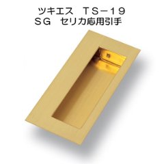 ツキエス　ＴＳ－１９　ＳＧセリカ応用引手の画像