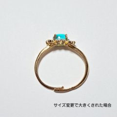 カニのリング画像