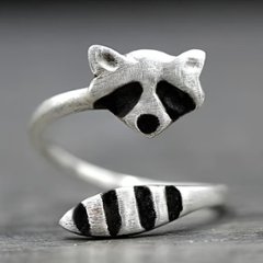 アライグマのリングの画像