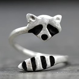 アライグマのリングの画像