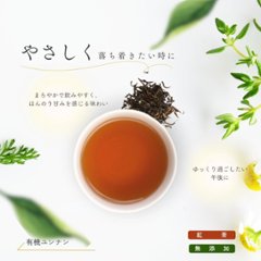 【送料無料】シングルティーシリーズ　ティーバックアソート10包入り画像