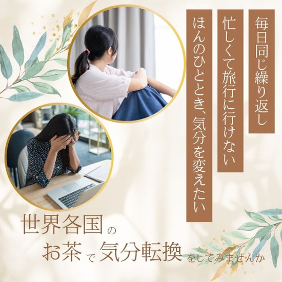 【送料無料】ホスピタリティーシリーズ　ティーバックアソート10包入り画像