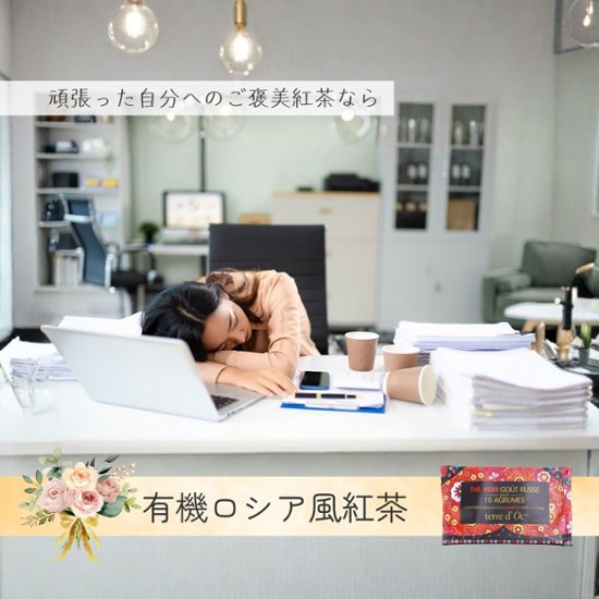 【送料無料】ホスピタリティーシリーズ　ティーバックアソート10包入り画像