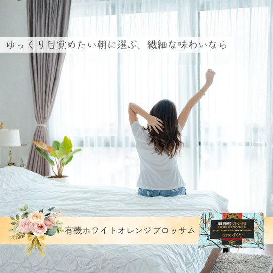 【送料無料】ホスピタリティーシリーズ　ティーバックアソート10包入り画像