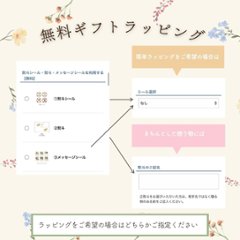 フルーツハーブティーシリーズコレクション　40包入り画像