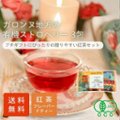 の画像