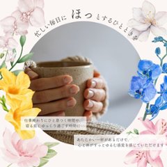 有機ラズベリー、エルダーフラワー、ザクロ 15包入り画像