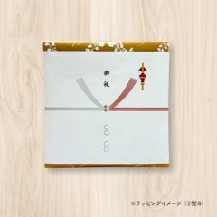 フランス地方のフルーツフレーバードティーシリーズ　42包入り画像