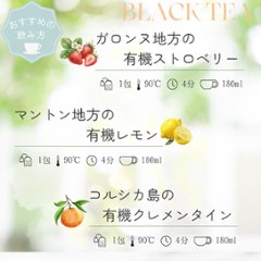 フランス地方のフルーツフレーバードティーシリーズ　42包入り画像