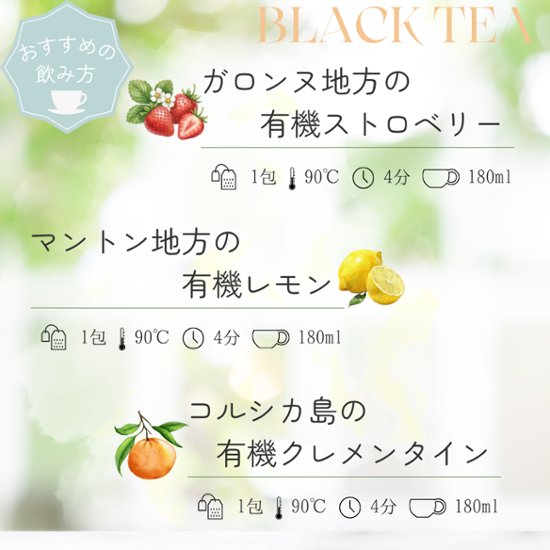 フランス地方のフルーツフレーバードティーシリーズ　42包入り画像