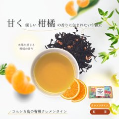 フランス地方のフルーツフレーバードティーシリーズ　42包入り画像