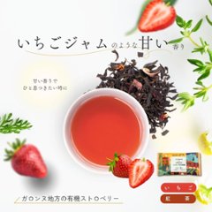 フランス地方のフルーツフレーバードティーシリーズ　42包入り画像