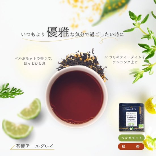 お好きなリーフ缶が2個選べる！オーガニック リーフティー2個ギフトセット画像