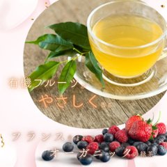 【送料無料】グルメティーシリーズ　 選べるフルーツ緑茶 10包入り画像
