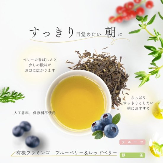 【送料無料】グルメティーシリーズ　 選べるフルーツ緑茶 10包入り画像