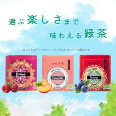【送料無料】グルメティーシリーズ　 選べるフルーツ緑茶 10包入り画像