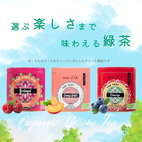 【送料無料】グルメティーシリーズ　 選べるフルーツ緑茶 10包入り画像