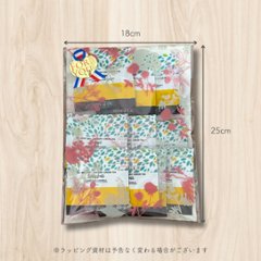 【送料無料】グルメティーシリーズ　 選べるフルーツ緑茶 10包入り画像