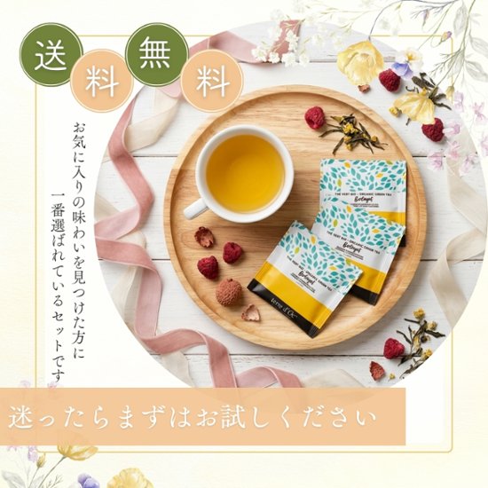 【送料無料】グルメティーシリーズ　 選べるフルーツ緑茶 10包入り画像