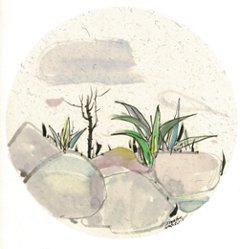 水墨画『石とリュウゼツラン』（ダイム・リー作品）スクエア額付きの画像