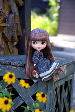 ご予約品『ヘッジホッグのヘーゼル』ネオブライス　送料無料！画像