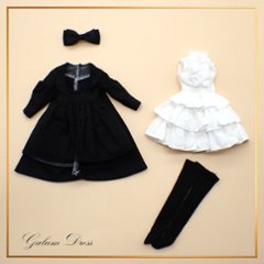 Galumドレスコレクション-22　フロントオープンワンピースドレスセット(22cmサイズ) の画像