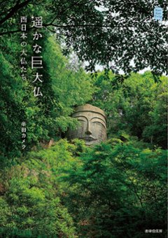 　遥かな巨大仏　西日本の大仏たち　著：半田カメラの画像