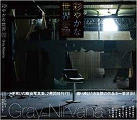 彩やかな世界　Gray Nirvana の画像