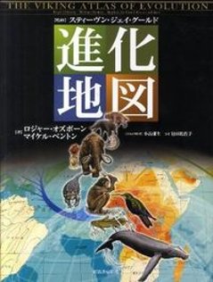  進化地図画像