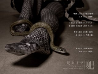【身巳】　蛇レッグウェア　アオダイショウ柄　[タイツ:ニーソックス:レギンス]　[ブラック・グレー]　の画像