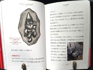 庭のこびと“ノーム”から身を守る方法画像