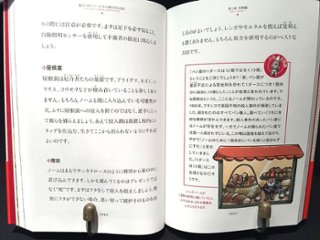 庭のこびと“ノーム”から身を守る方法画像