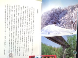 走らなかった鉄道　未成線を追う　著:松村真人画像