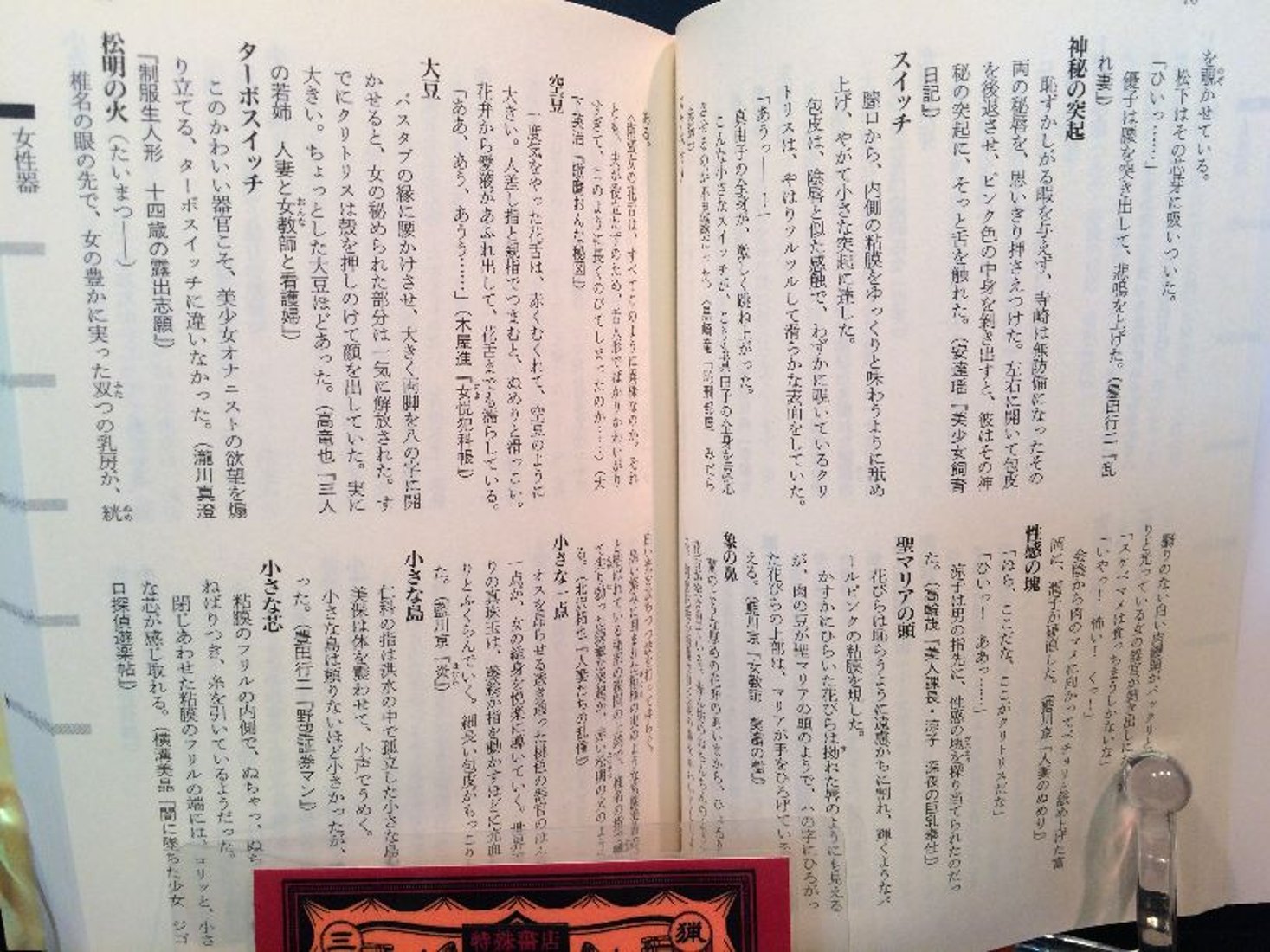 公の場での発言・インタビュー報道記録