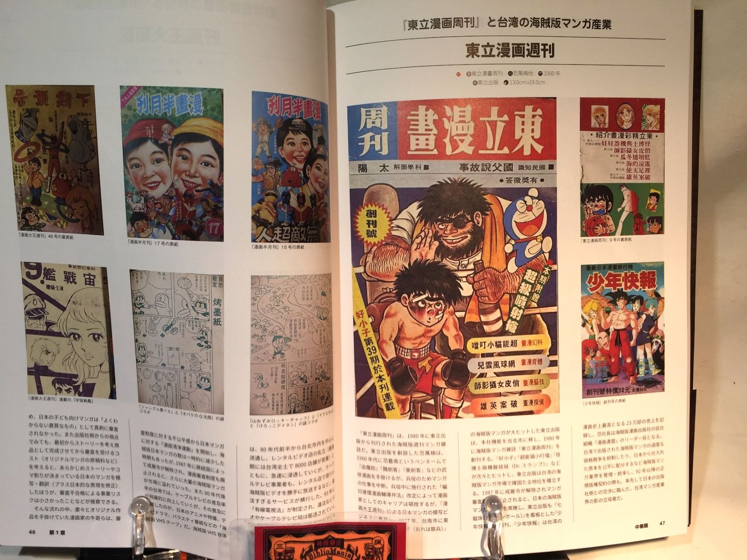 世界海賊版マンガ大全 パクリ＆無版権コミック・アーカイブ｜創作品 