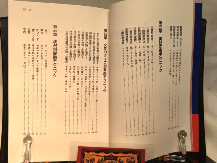 SEX愛撫マニュアル画像