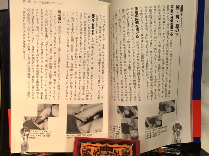 SEX愛撫マニュアル画像
