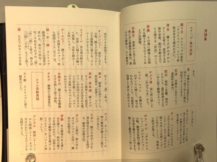  現代ストリップ入門　画像