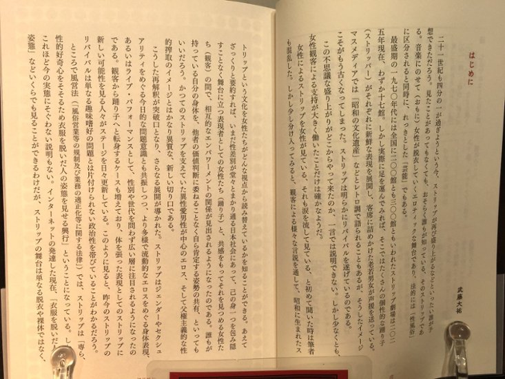  現代ストリップ入門　画像