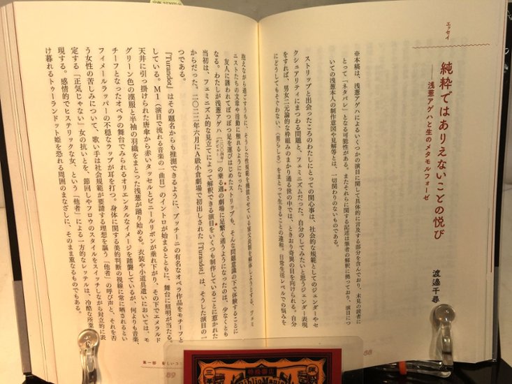  現代ストリップ入門　画像