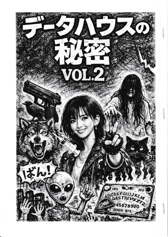 データハウスの秘密　Vol.2画像