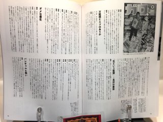 没後20年の見沢知廉画像