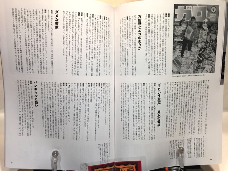 没後20年の見沢知廉画像