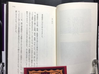 冥途探訪記　死の旅画像