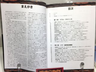 チープコリア ヘル朝鮮の歩き方画像