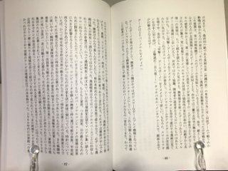 「これが文学だなんて僕はこれっぽっちも信じていない」　【かに温泉】画像
