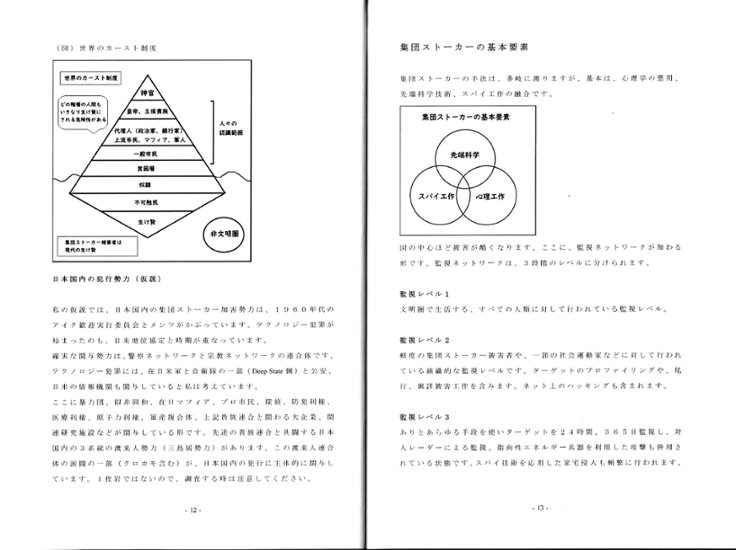 集団ストーカー入門　画像