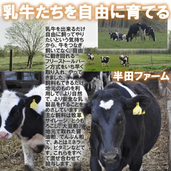 半田ファーム【チモシー】ホール 【本格的ナチュラルチーズ】【送料込】北海道/大樹町画像